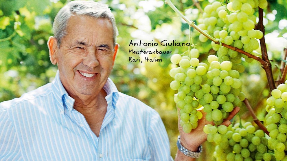 Ersteigern Sie eine Reise nach Italien zu Meisteranbauer Giuliano und erleben Sie hautnah die Traubenernte
